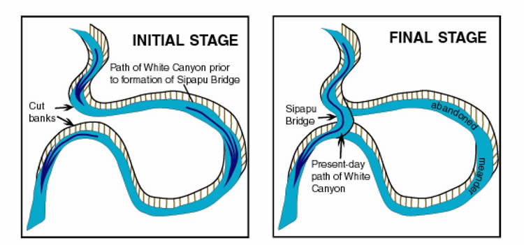 Bridge Formation