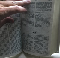 The Book of Job