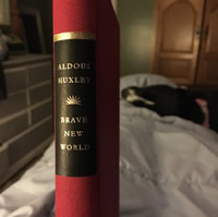 Brave New World