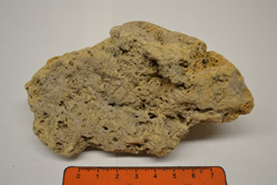 Vesicular