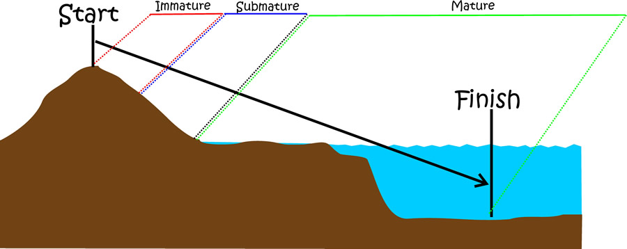 Sedimentary Rock Maturity