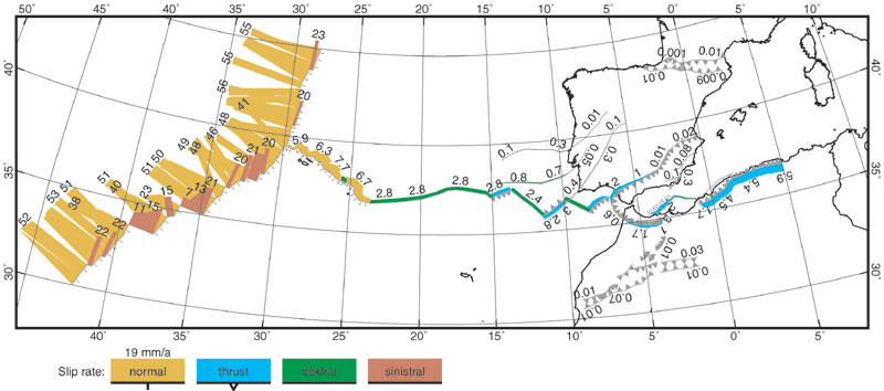 Fault Slip Rates