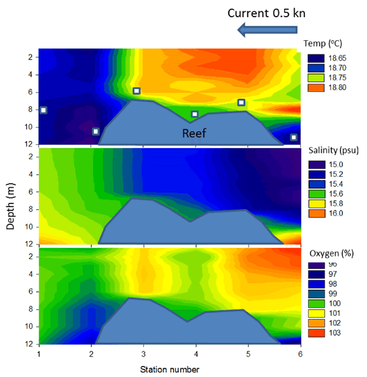 Kirkegrund Reef Profile