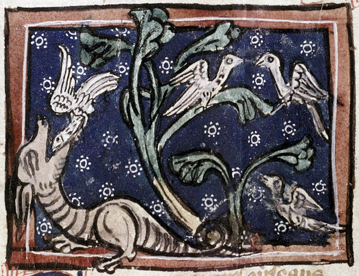 1300's Dragons