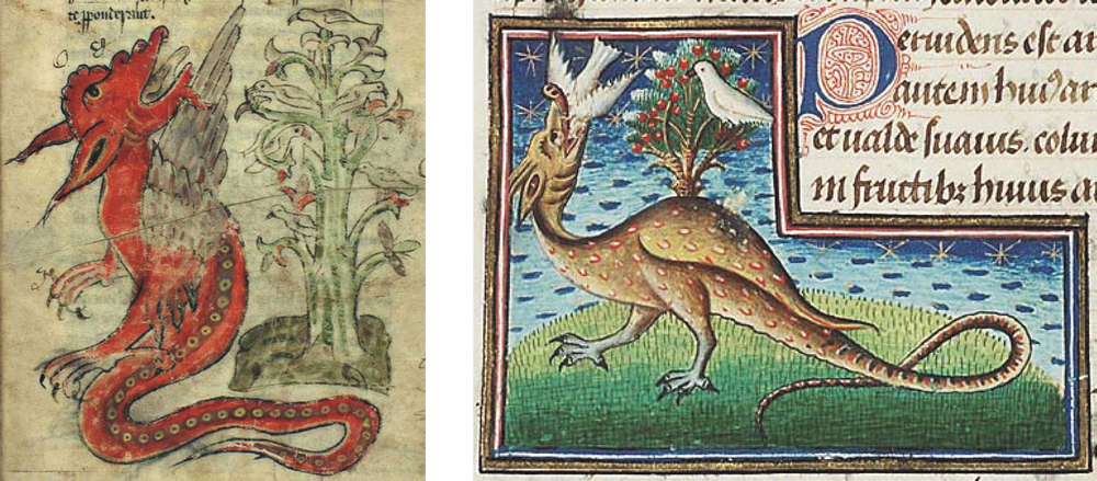 1400's Dragons